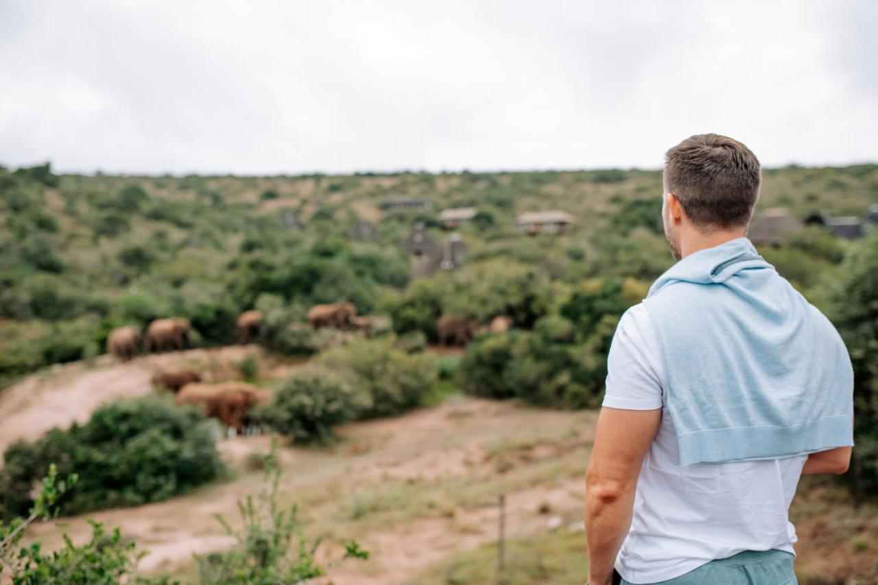Bukela Game Lodge - 阿马卡拉保护区 外观 照片