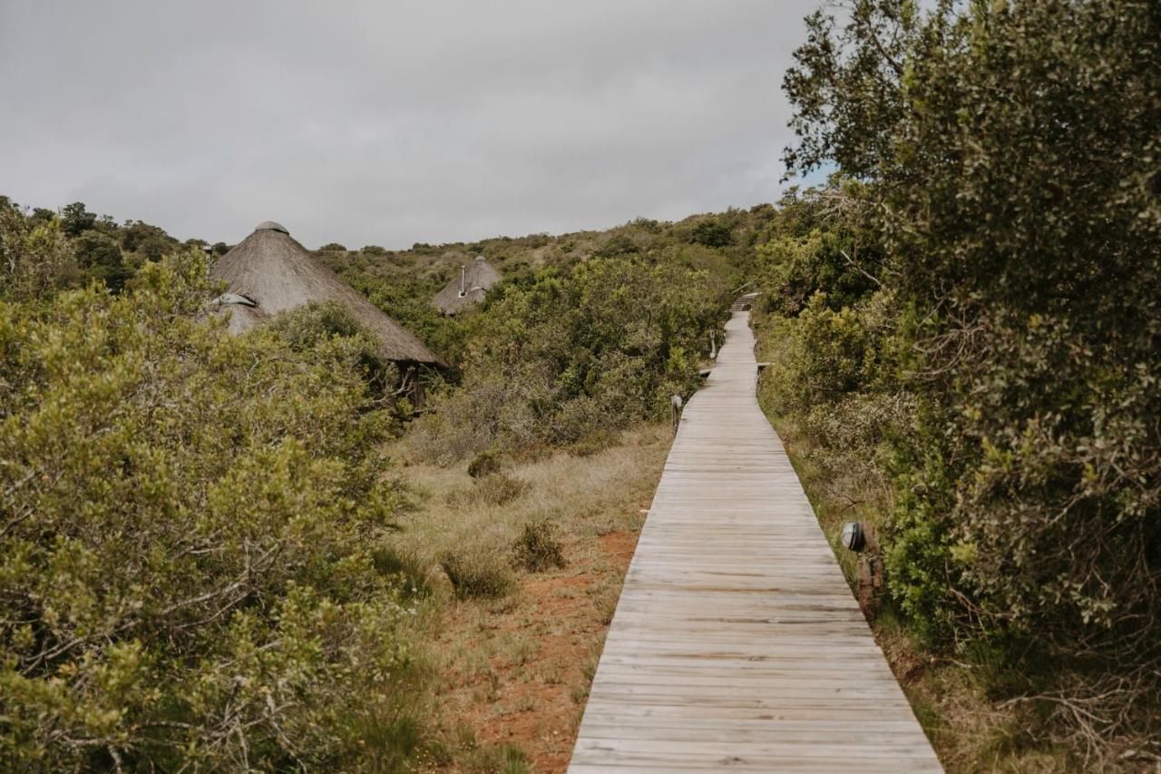 Bukela Game Lodge - 阿马卡拉保护区 外观 照片