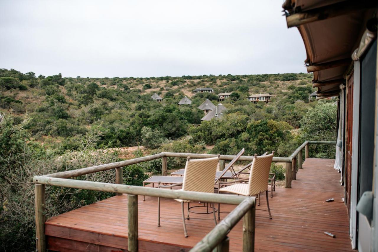 Bukela Game Lodge - 阿马卡拉保护区 外观 照片