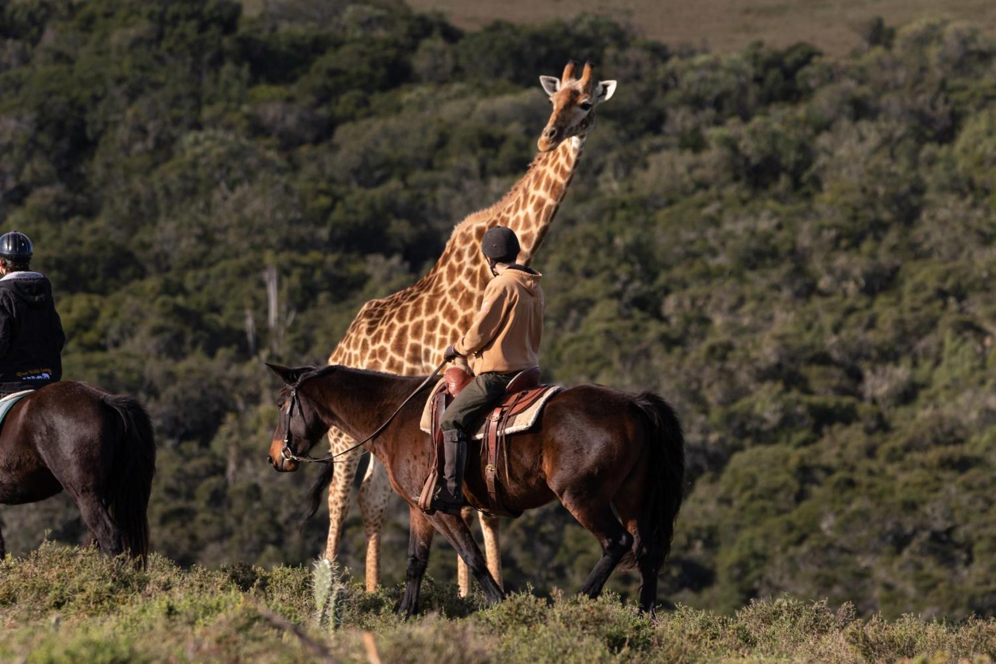Bukela Game Lodge - 阿马卡拉保护区 外观 照片